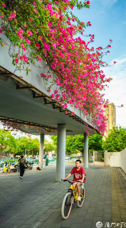 厦门又一网红出片点位，上新！美成偶像剧取景地→