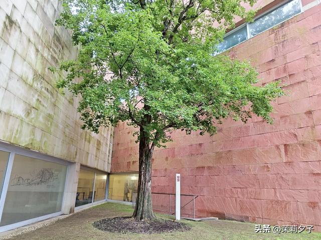 杭州旅游攻略看展逛博物馆老街菜市场换个城市走走停停文艺风