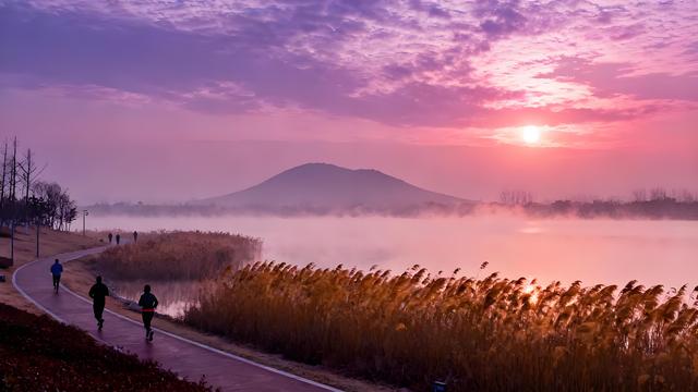 淮水凝寒浸古意 金英散馥入珠城 ——安徽蚌埠的初冬诗行