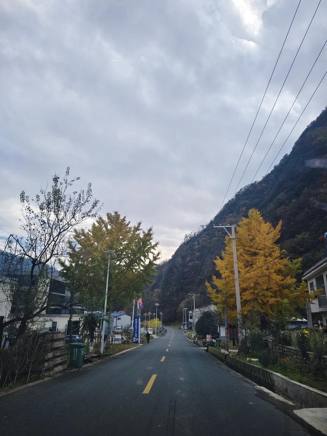 南行漫记：329公里的穿越之路，带你一起看红叶