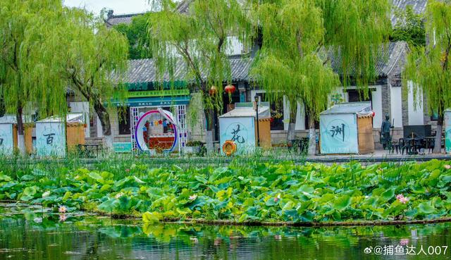 祝贺济南三个区入选“2025中国市辖区旅游综合竞争力百强区”榜单！