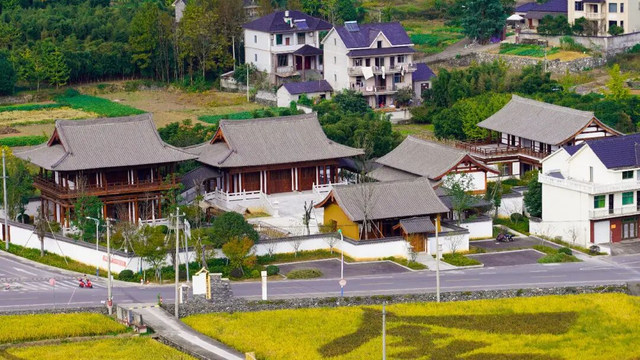 杭州秋冬的“多巴胺”美景来啦～