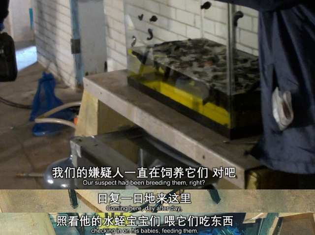 我怀疑，这部片来自暗网