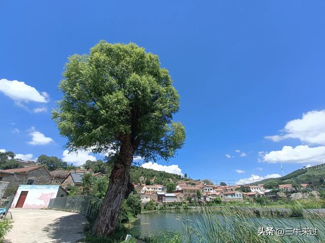 无为在歧路，章丘东南行