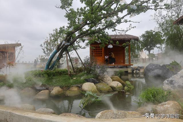 云梦仙境花开十月花雾醉游人