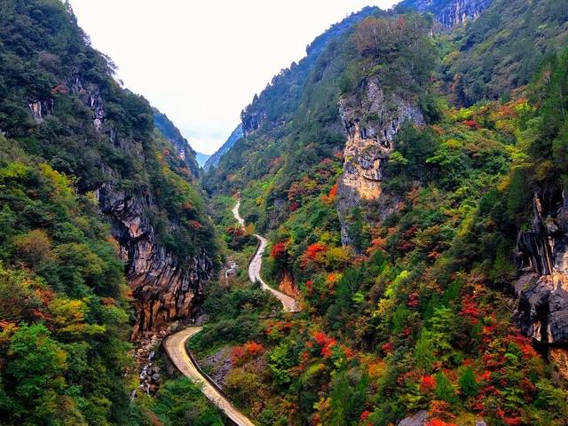 徽县大河店镇：层林尽染处 藏着最治愈的秋日时光