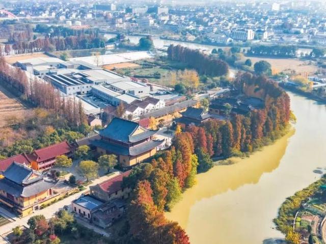 比青山湖人少，比湘湖低调，杭州东北藏着一条“银杏+水杉”组合路线！