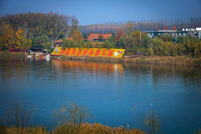 宿州黄河故道，被泥土封存的记忆，秋天充满诗意，是休闲游好去处