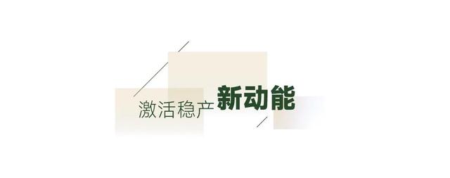 中石油西南油气田天府气田致密气2025年上半年稳产增产纪实