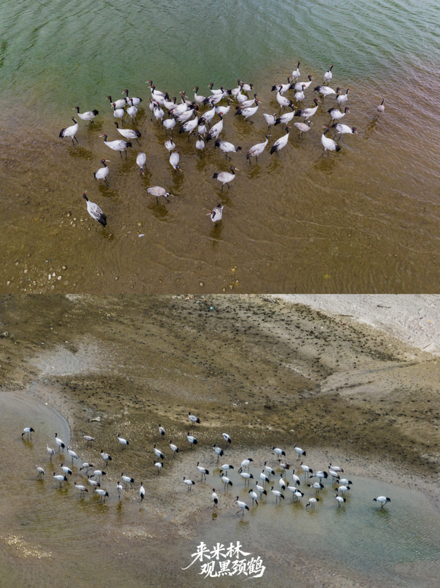 这个冬天，一定要来西藏看……