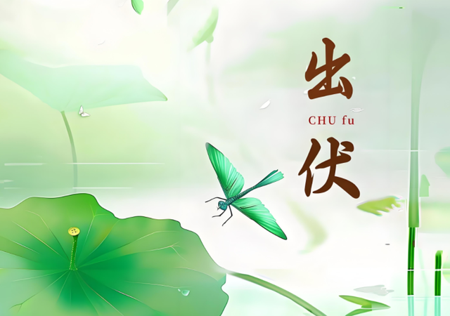 明日出伏！60年难得一遇，3大特点，出伏挨着处暑，有何预兆？