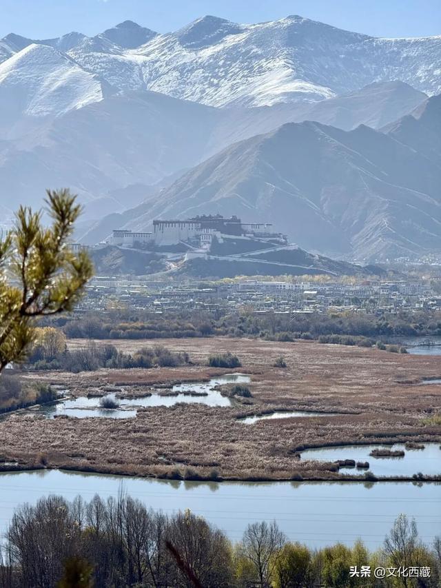 下次有朋友去拉萨，除了布达拉宫，请告诉他一定要逛逛这里