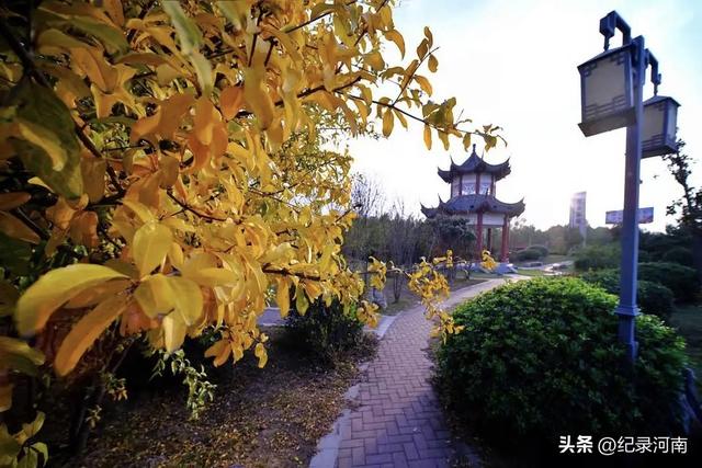 国庆节旅游黄金周足不出“柘”，邂逅秋日浪漫