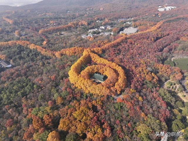 江苏南京，钟山风景区，大家展开想象，这个像什么？