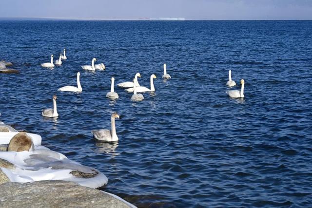 为了这道光，我做了一次疯狂的行动