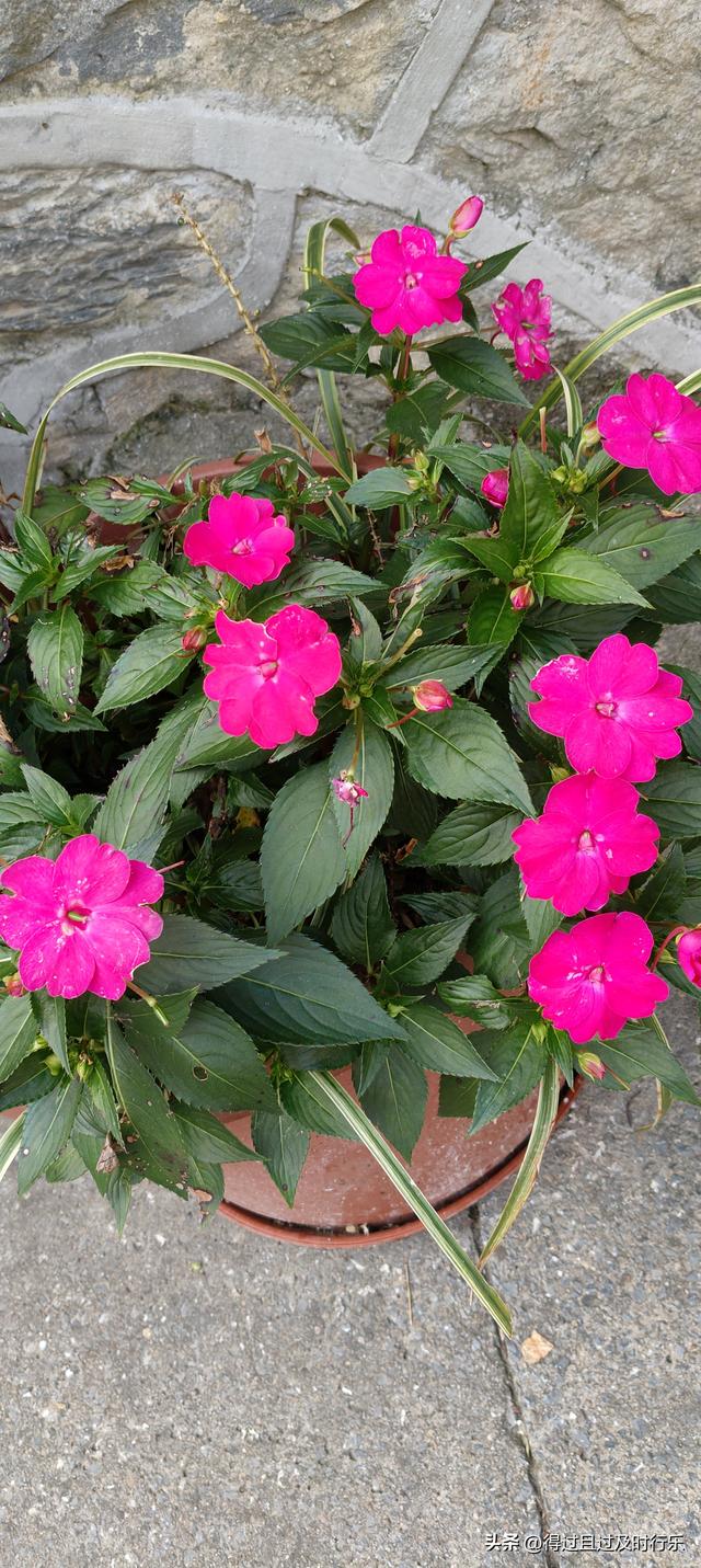 庐山游记-01来庐山，心悠然