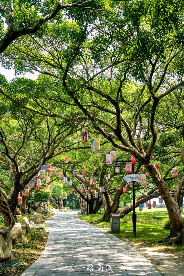 浙江又一个Citywalk天花板，温州四天游经典攻略来了