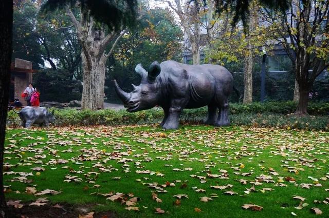 陪伴上海人70多年的“老友”要闭关升级了！这段历史头回听说？未来长啥样提前看！