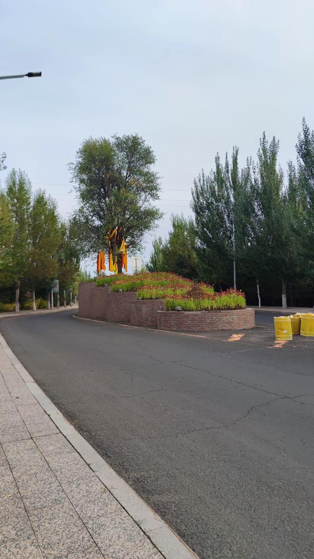 来乌兰察布的第二天 ，去了博物馆，植物园，白泉山公园，古城没去