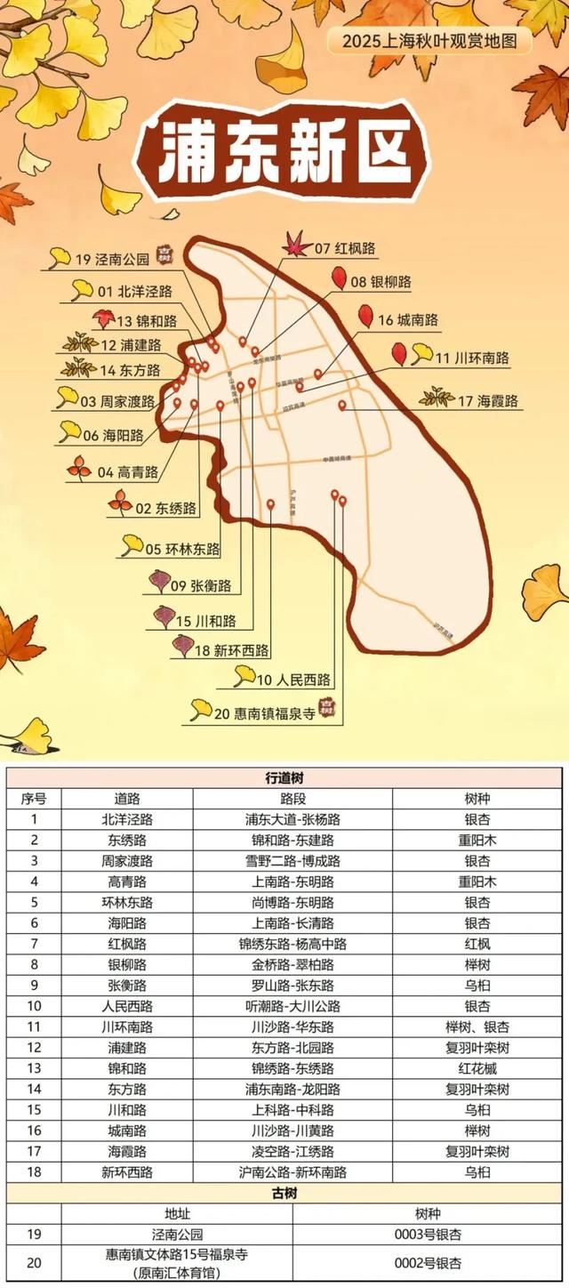 2025上海秋叶地图出炉，徐汇这些点位不可错过！