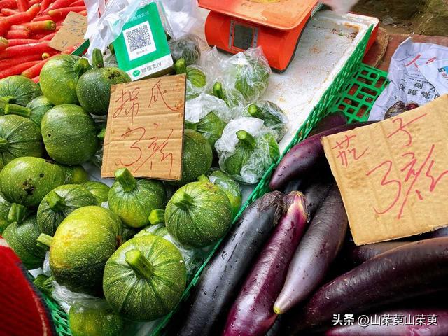 2023年春重庆探亲游（上篇）