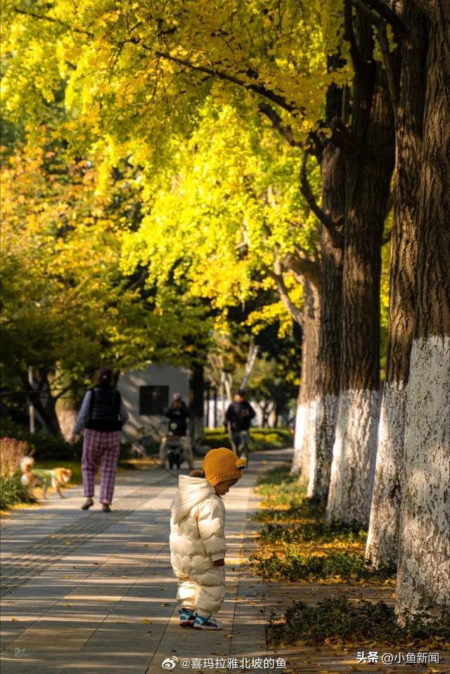 金色的苏州，开始了！