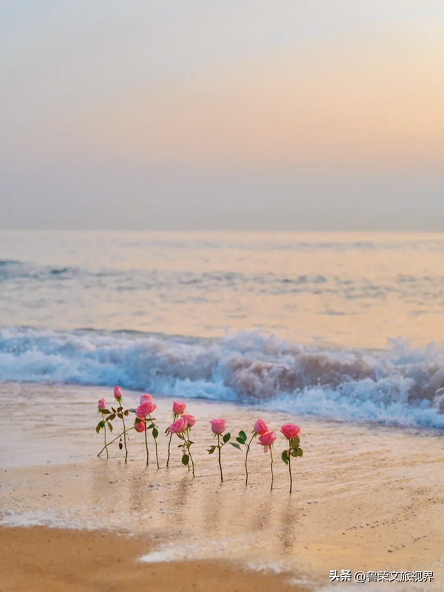 日照：黄海之滨的晨光与温柔