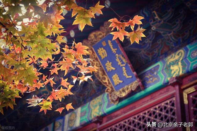 周末香山赏红叶保姆攻略