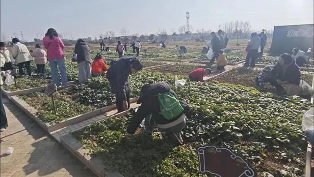 刚刚传来，颍东竟有这么多宝藏地？！今天，好多阜阳人都去了！直击现场......