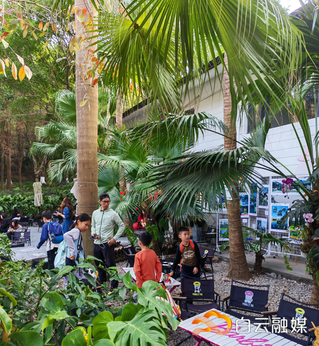 永平街打造都市微度假目的地，培育文商旅融合新质生产力