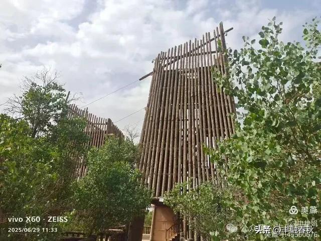 探秘新疆巴楚红海景区：自然与人文的交响｜ 申艳娟