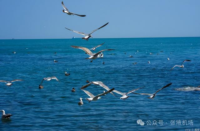 【张掖机场】经北京中转，630元可飞哈尔滨/义乌/延吉/佳木斯/东营...