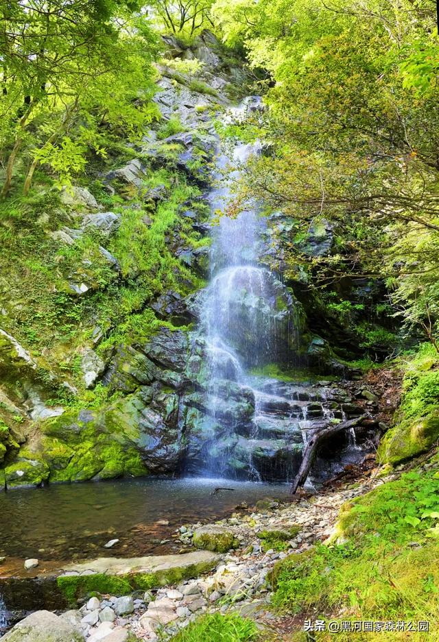夏季避暑有“凉”方,黑河山水邀你共赴清凉盛宴!