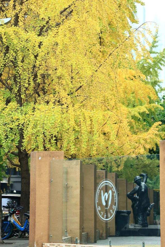 银杏黄了，太阳暖了，武侯在等你