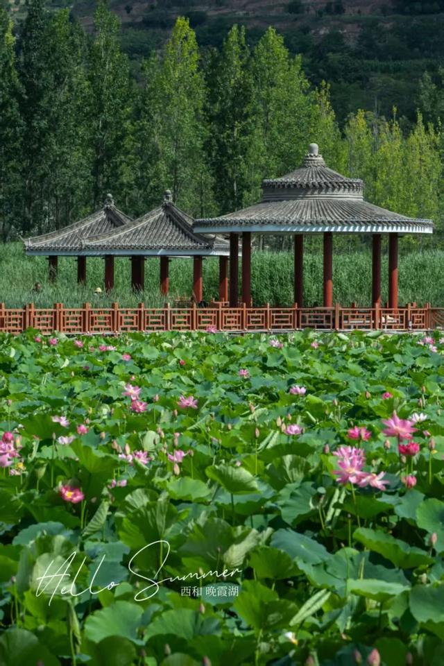 巧盼君至 | 山水画卷 陇南瑰宝：西和晚霞湖 共醉半湖流彩云霞！