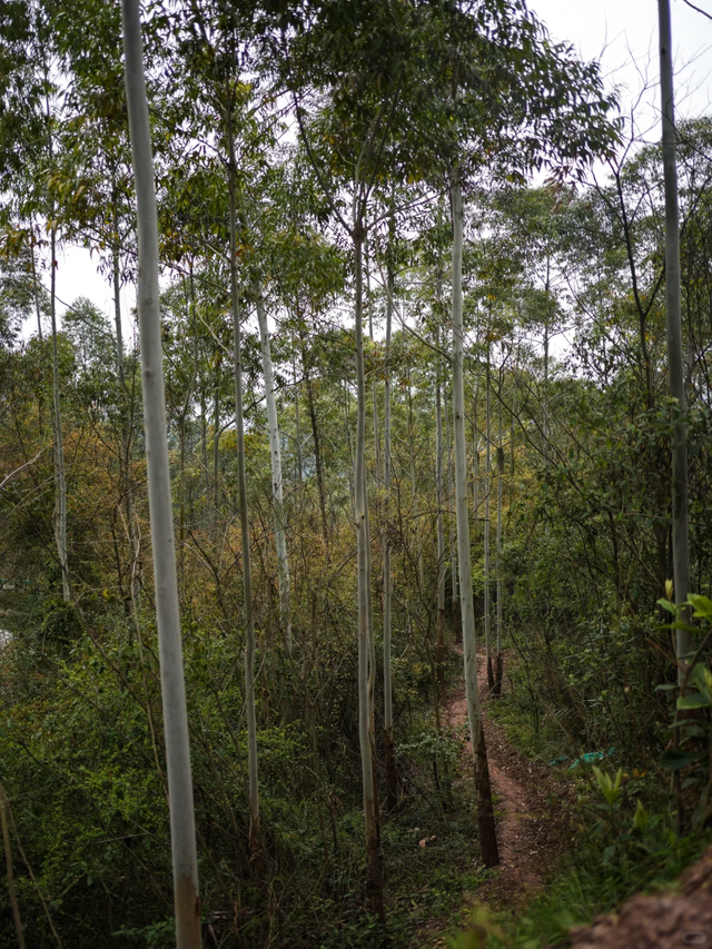 成都南门出发1h || 10km小众野生路线探个险，冷门到包场！