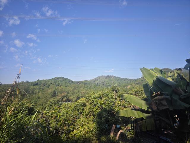 从丽康路穿荔园溪谷至西丽湖绿道骑行随拍