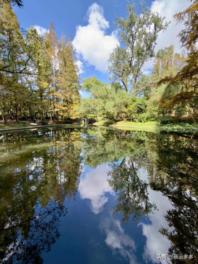 重阳节，上海赏秋之美