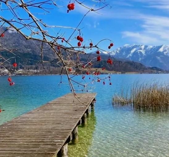 波得定律与坏榜样的法则