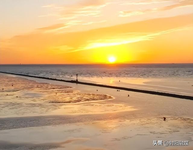 这个秋天，总要来一趟射阳吧