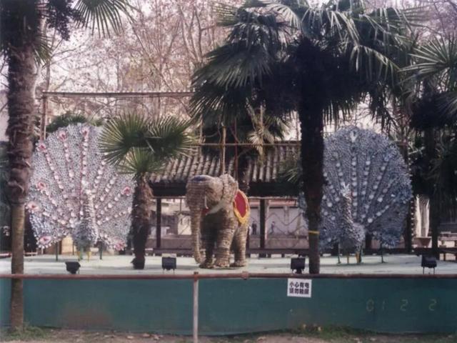 【美丽四川】一湖碧水，半城烟火！玄珠湖的时光故事，就从那个秋夜讲起……|| 雷媛