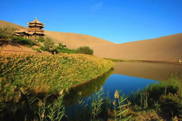 鸣沙山的骆驼悄悄“穿”上冬装啦！