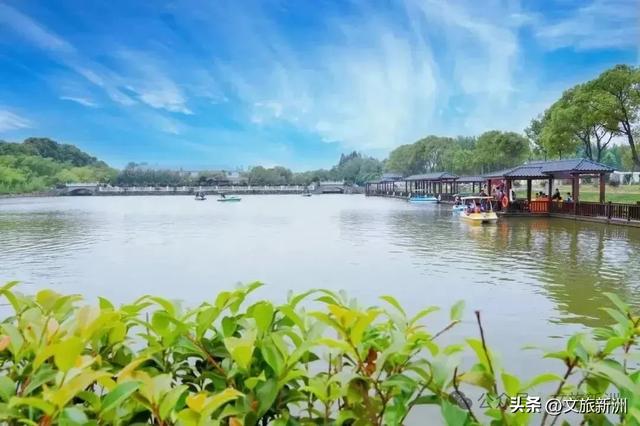 新洲是懂浪漫的！这份「七夕高甜打卡指南」请速存