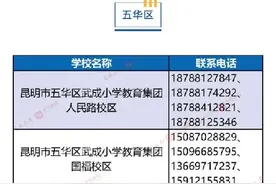 咨询电话公布！2024年昆明小学一年级新生信息审核开始图片