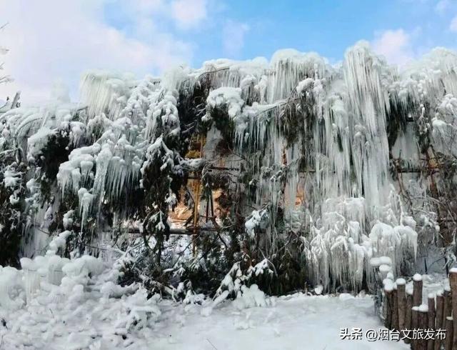 【乐游烟台】真不在北极！烟台“冰雪世界”最新实拍→