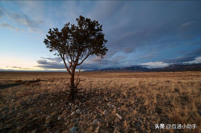 老蛙12mm F2.8 Zero-D 评测——一款存在明显妥协的超超广角定焦镜头