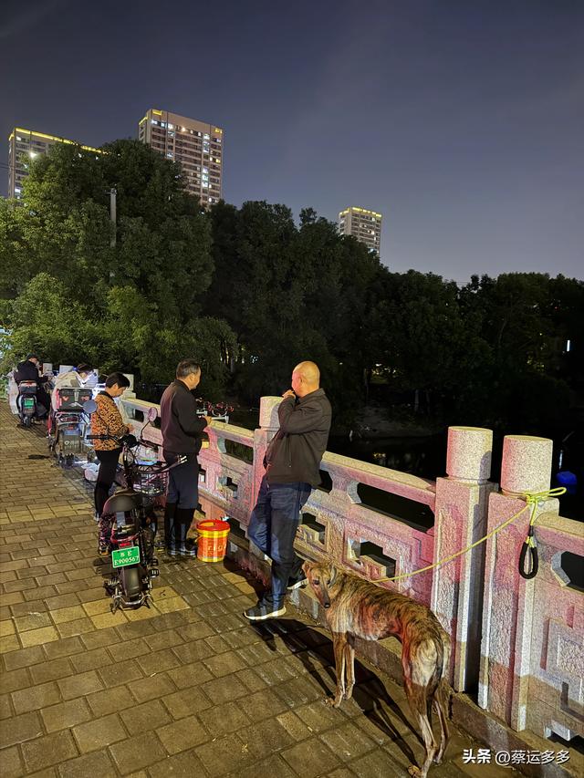 上海的乡村美得我头晕目眩