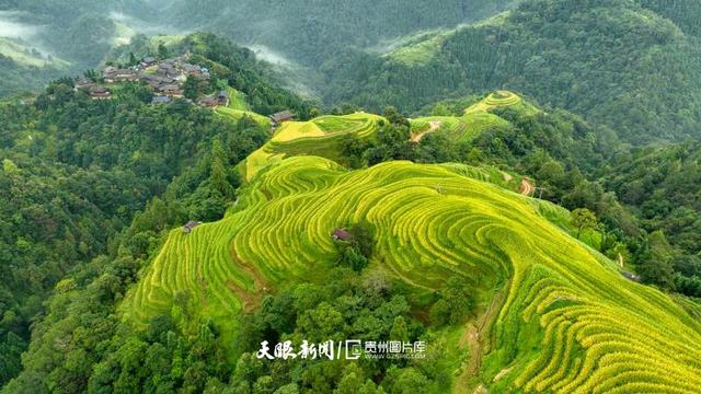 夏日爆火后，秋天的贵州还有这些宝藏等你解锁！