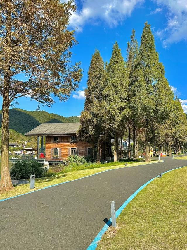 刚从宁波回来，这几个真实印象不吐不快，和网传差太多