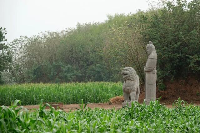 河北磁县，磁州窑博物馆笔记，那些白地黑花的枕头会讲故事